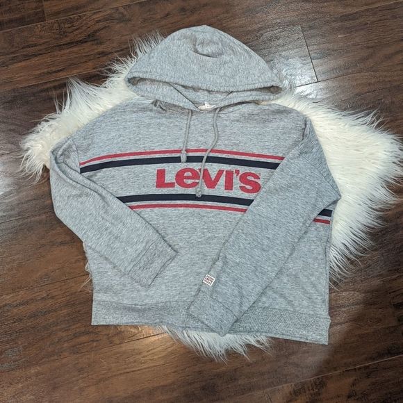 COPY - #19 Levi's Gray Cropped Hoodie Sweatshirt size XS - Picture 1 of 5